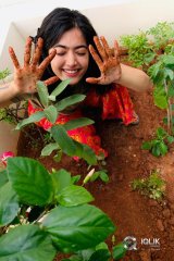 Rashmika Mandanna accepted Green India Challenge